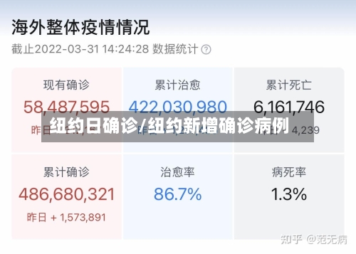 纽约日确诊/纽约新增确诊病例-第2张图片