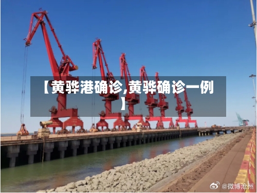 【黄骅港确诊,黄骅确诊一例】