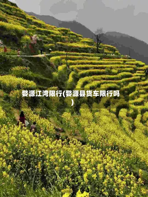 婺源江湾限行(婺源县货车限行吗)