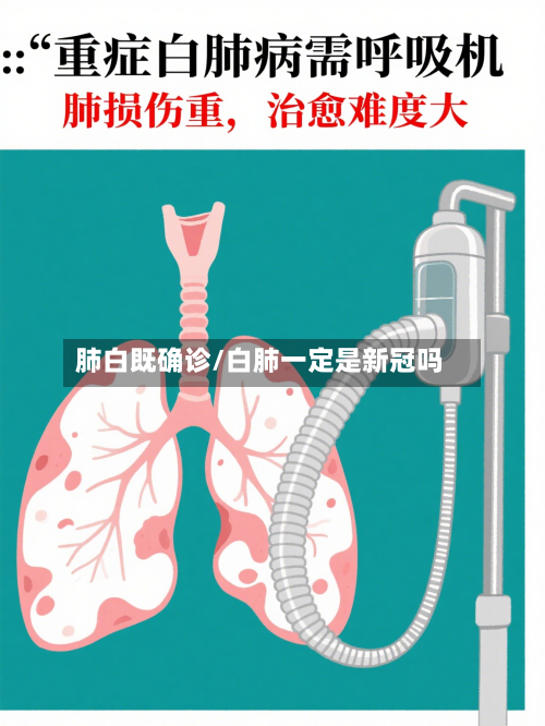 肺白既确诊/白肺一定是新冠吗