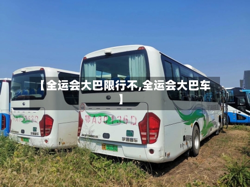 【全运会大巴限行不,全运会大巴车】-第3张图片