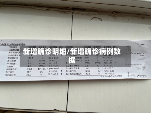 新增确诊明细/新增确诊病例数据