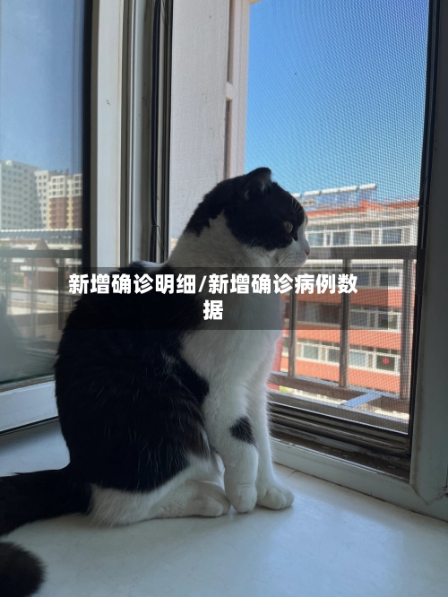 新增确诊明细/新增确诊病例数据-第2张图片