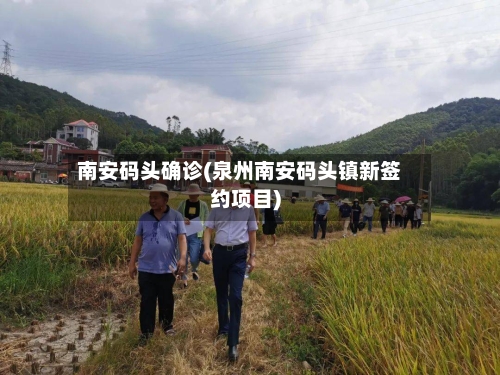 南安码头确诊(泉州南安码头镇新签约项目)