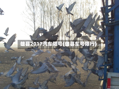 雄县2017汽车限号(雄县车号限行)