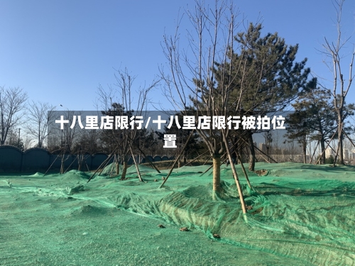 十八里店限行/十八里店限行被拍位置-第2张图片