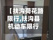 【扶沟荷花路限行,扶沟县机动车限行】