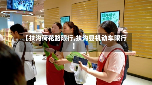【扶沟荷花路限行,扶沟县机动车限行】-第2张图片
