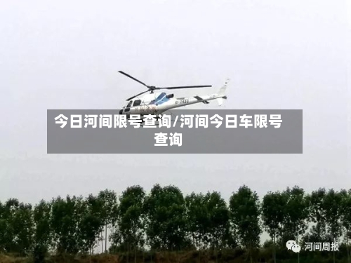 今日河间限号查询/河间今日车限号查询-第2张图片