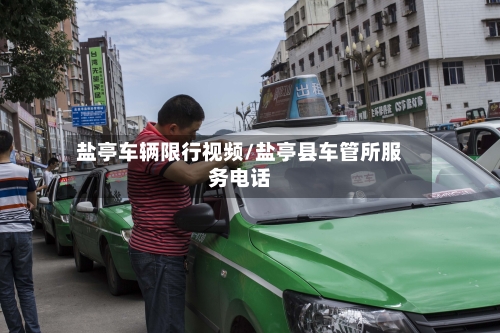 盐亭车辆限行视频/盐亭县车管所服务电话-第2张图片