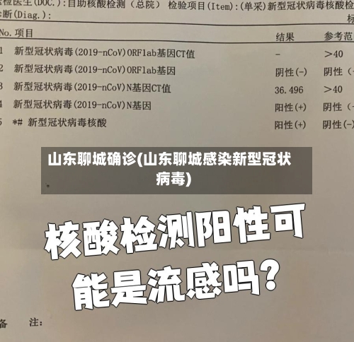 山东聊城确诊(山东聊城感染新型冠状病毒)-第2张图片