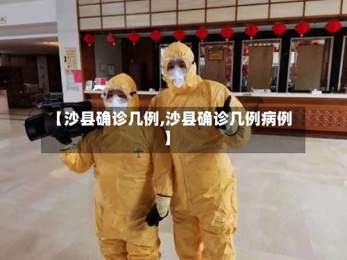 【沙县确诊几例,沙县确诊几例病例】