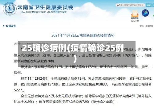25确诊病例(疫情确诊25例)-第2张图片