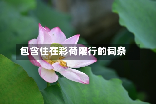 包含住在彩荷限行的词条-第2张图片