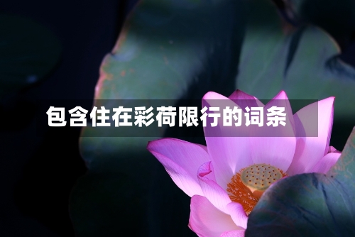 包含住在彩荷限行的词条