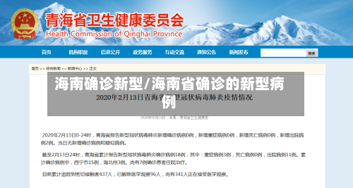 海南确诊新型/海南省确诊的新型病例