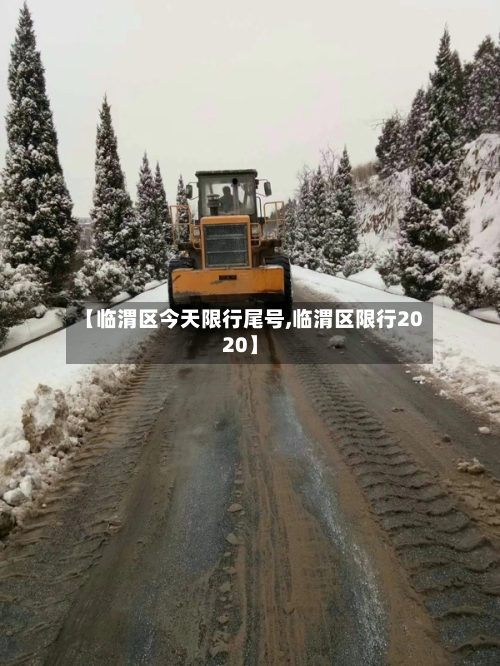 【临渭区今天限行尾号,临渭区限行2020】-第2张图片