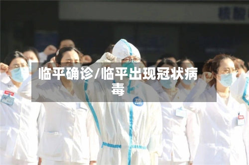 临平确诊/临平出现冠状病毒-第3张图片