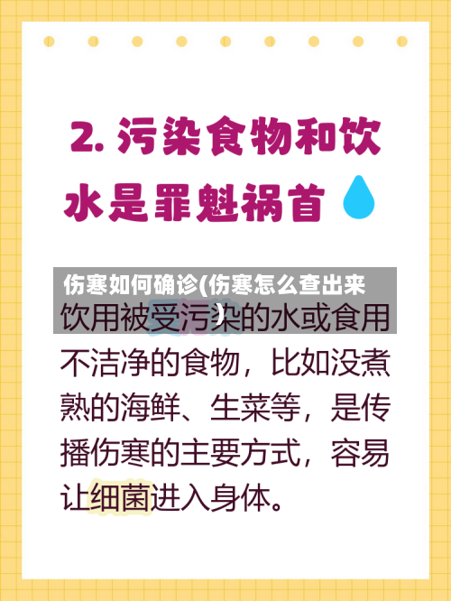 伤寒如何确诊(伤寒怎么查出来)