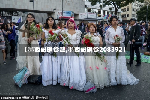 【墨西哥确诊数,墨西哥确诊208392】