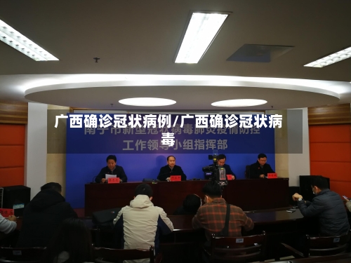 广西确诊冠状病例/广西确诊冠状病毒-第2张图片