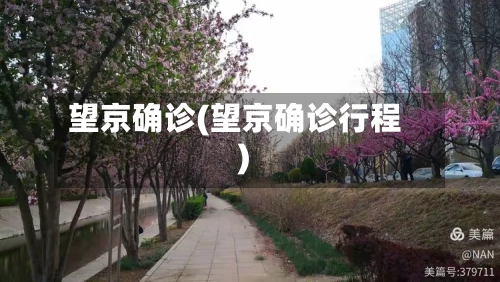 望京确诊(望京确诊行程)-第2张图片