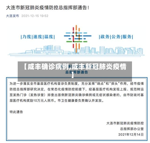 【咸丰确诊病例,咸丰新冠肺炎疫情】