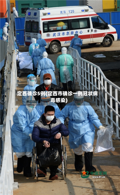 定西确诊5例(定西市确诊一例冠状病毒感染)-第3张图片