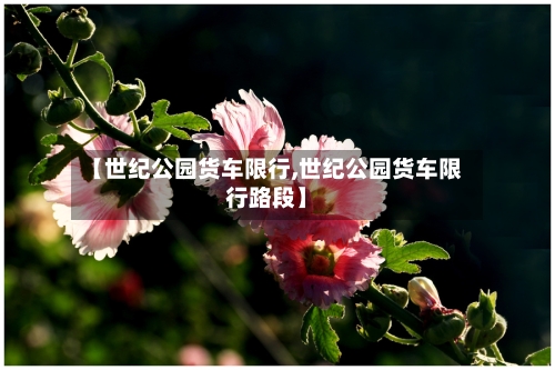 【世纪公园货车限行,世纪公园货车限行路段】