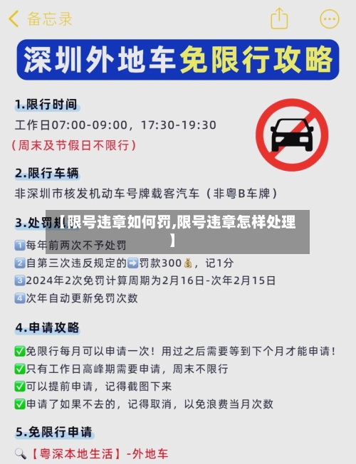 【限号违章如何罚,限号违章怎样处理】