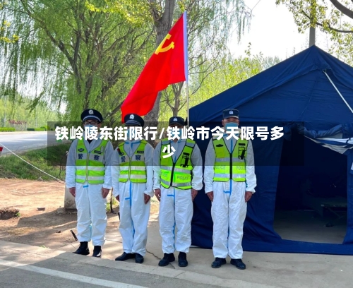 铁岭陵东街限行/铁岭市今天限号多少-第3张图片