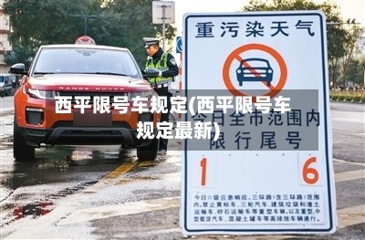 西平限号车规定(西平限号车规定最新)