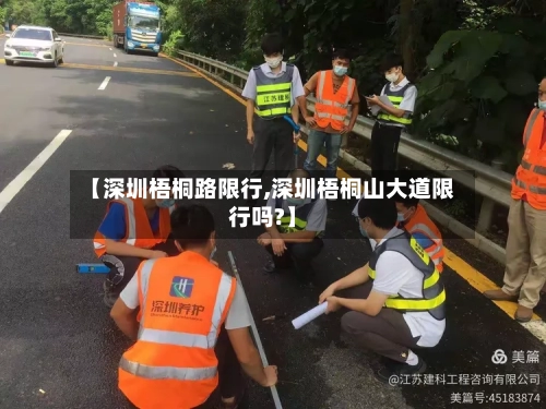 【深圳梧桐路限行,深圳梧桐山大道限行吗?】