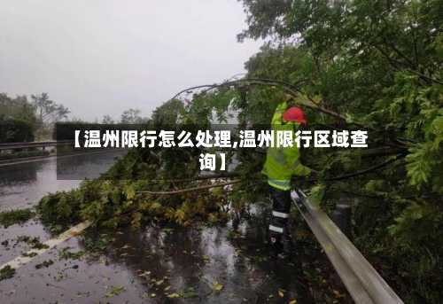 【温州限行怎么处理,温州限行区域查询】-第2张图片