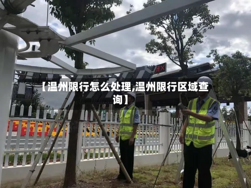 【温州限行怎么处理,温州限行区域查询】