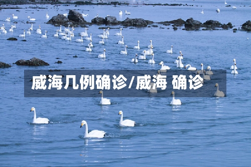 威海几例确诊/威海 确诊