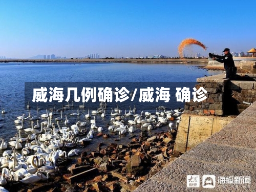 威海几例确诊/威海 确诊-第2张图片