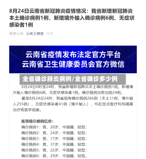 全省确诊肺炎病例/全省确诊多少例