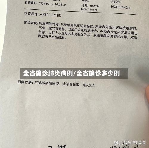 全省确诊肺炎病例/全省确诊多少例-第3张图片