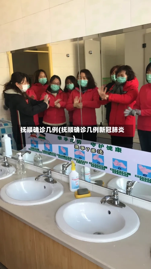 抚顺确诊几例(抚顺确诊几例新冠肺炎)-第2张图片