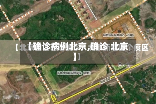 【确诊病例北京,确诊 北京】