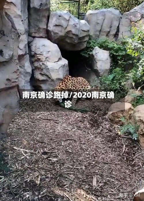 南京确诊跑掉/2020南京确诊