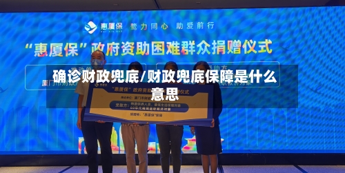 确诊财政兜底/财政兜底保障是什么意思