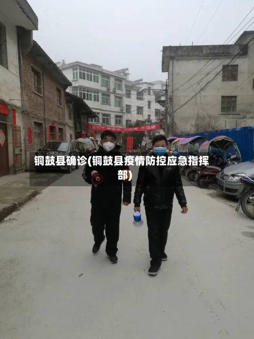 铜鼓县确诊(铜鼓县疫情防控应急指挥部)-第3张图片