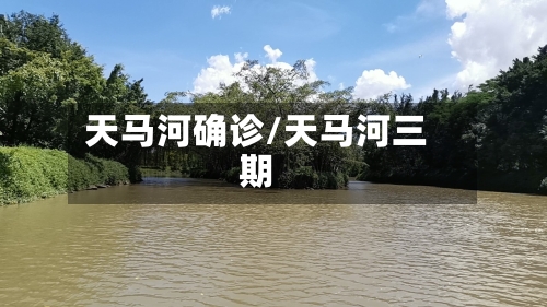 天马河确诊/天马河三期-第3张图片