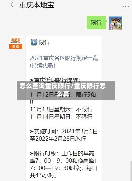 怎么查询重庆限行/重庆限行怎么算-第3张图片