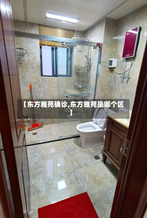 【东方雅苑确诊,东方雅苑是哪个区】