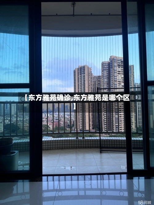 【东方雅苑确诊,东方雅苑是哪个区】-第2张图片