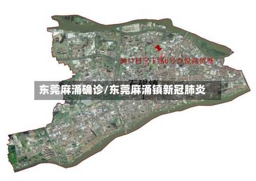 东莞麻涌确诊/东莞麻涌镇新冠肺炎-第2张图片