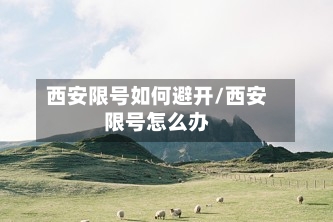 西安限号如何避开/西安限号怎么办-第2张图片